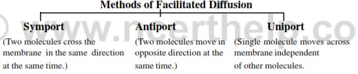 Facilitated diffusion : The diffusion of hydrophilic substances along the concentration gradient through fixed membrane transport protein without involving energy expenditure is called facilitated diffusion. For this the membrane possess aquarporins and ion channels. No energy is utilized in this process. 